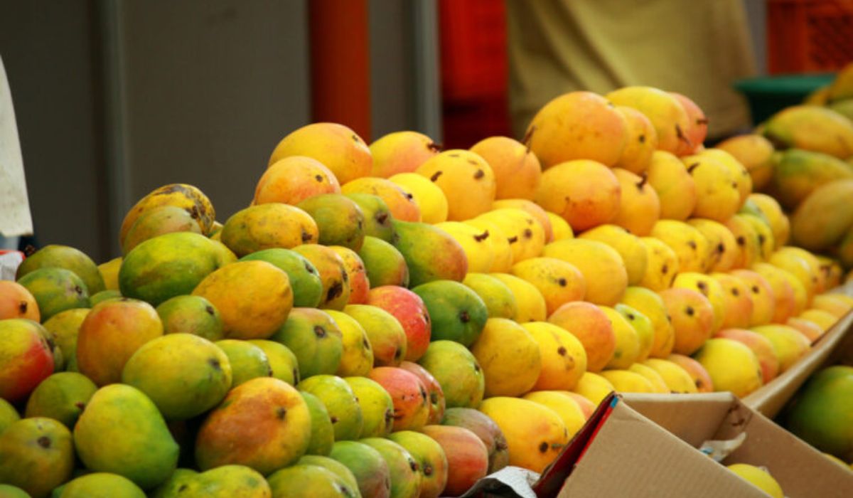 Hamba Indian Mango Exhibition 2026 records 84 tonnes in sales & over 74,000 visitors 